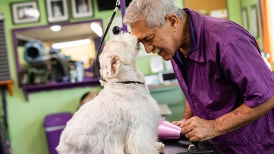 Central Bark Fort Lauderdale