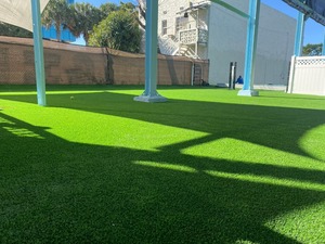 freeDOGm Dog Hotel and Resort