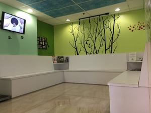 Kendall Drive Animal Hospital