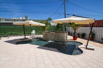 VIP Very Important Paws