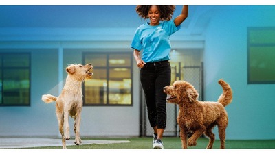 Pet Paradise Tallahassee