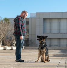 Pensacola Pet Resort Premier