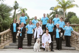 My Pet's Animal Hospital